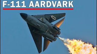 F111 Aardvark The Aircraft that Defined an Era [upl. by Tremml]