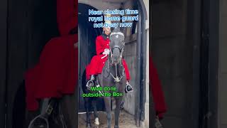 The Royal Horse Life Guard royalkingsguards royalguards horse tourist thekingsguard [upl. by Isborne]