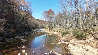 Upper Roubidoux Creek  October 2024 [upl. by Ahsennod]