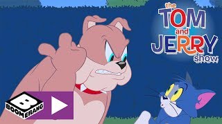 Tom und Jerry  Die Entschuldigung  Cartoonito [upl. by Kehsihba]