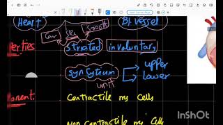 CVS cardiac Rhythmicity [upl. by Eiggep504]