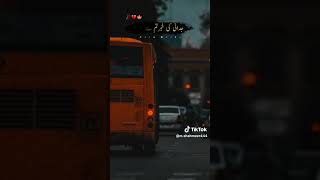 poetry 1mUnerasepoetry automobile doctorzakirnaik freefire games [upl. by Eita]