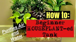 🪴🐟🪴‼️How to Build a Beginner Houseplanted Fish Tank RIPARIUM🪴🐟🪴‼️ [upl. by Scevo]