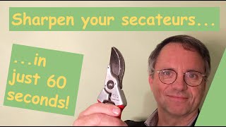 Sharpen Secateurs in Just 60 Seconds [upl. by Kinny981]