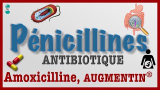 Les Pénicillines  TOUT Savoir  Antibiotiques AMOXICILINE AUGMENTIN Pharmacologie et Toxicité [upl. by Bertold]