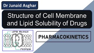 Cell Membrane  Lipid Solubility and Drug Absorption  Junaid Asghar PhD [upl. by Yelnoc]