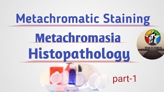 Metachromatic Staining ll Metachromasia ll Histology [upl. by Grosvenor701]