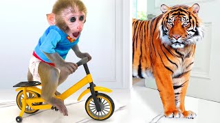 Monkey Baby Bon Bon Ride a Bike and eats watermelon with ducklings in the garden [upl. by Reinar]