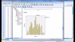 Conducting a ShapiroWilk Normality Test in SPSS [upl. by Assetal]