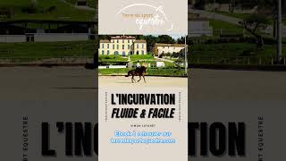 Incurvation du cheval fluide et facile cheval equitation incurvation [upl. by Sadirah]