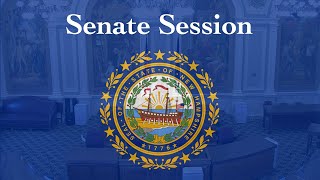 Senate Session 030724 [upl. by Elleinod238]