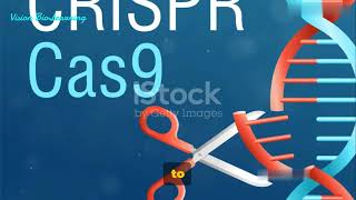 CRISPR vs RNAi A Genetic Showdown [upl. by Otnas321]