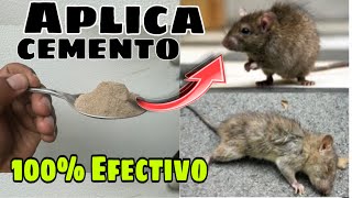 COMO Eliminar RATAS y RATONES de Manera Permanente [upl. by Delfine]