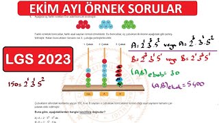 Kasım Ayı Örnek Sorular 2020 [upl. by Ateval913]