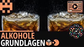 Alkohole Grundlagen│Chemie Lernvideo Learning Level Up [upl. by Ydna]