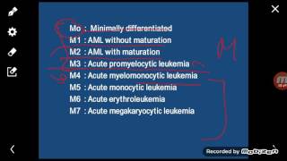 Pathologyhls  Acute myeloid leukemia  part1 [upl. by Onitsirc]