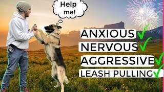 How to stop Dog Anxiety Aggression Pulling on the leash German Shepherd Training Full tutorial [upl. by Enitsrik]