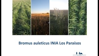 Reintroducción del Paspalum y Bromus [upl. by Aradnahc]