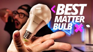 Nanoleaf Bulb Essentials  The Matter Bulb you need [upl. by Roe]