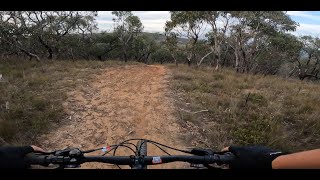 Sunday Morning Ride Anglesea MTB [upl. by Rubliw53]