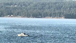 BC Ferry leaving Duke Point Passing Gabriola Island [upl. by Trilbee]