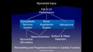 Pathophysiology of Heart Failure [upl. by Soiritos]