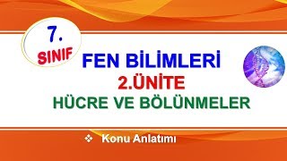 7Sınıf Fen Bilimleri Hücre ve Bölünmeler [upl. by Ynnhoj587]