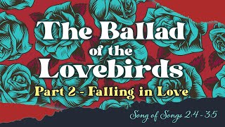 The Ballad of the Lovebirds Part 2  Falling in Love [upl. by Chenee]