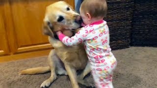 Bébés mignons jouant avec des chiens et des chats [upl. by Aerehs]