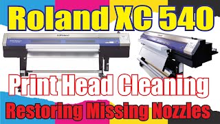 Roland XC 540 Print Head Cleaning Restoring Missing Nozzles [upl. by Ennaej]