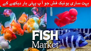 Fish aquarium Karachi  model aquarium fish aquarium market Karachi Pakistan update price 🐟🐢🐠 [upl. by Aicirtap671]