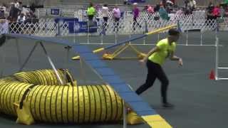 Agility Standard Class  12 inches  AKCEukanuba National Championship 2014 [upl. by Cochard309]