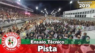 Bateria Mocidade Alegre 2019  Bateria no ensaio técnico Pista  Apoteose ao vivo SP [upl. by Jowett]