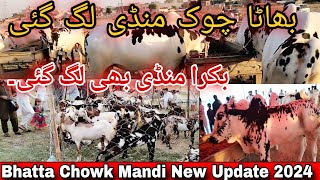 Bhatta Chowk Mandi New Update 2024 [upl. by Penelope]