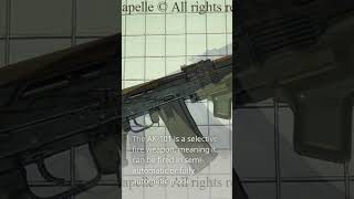 AK 101 MILITARY GUNshortsvideo [upl. by Anirpas]