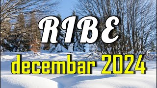 RIBE  Horoskop za DECEMBAR 2024 [upl. by Toinette506]