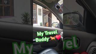 My Travel Buddy 🐕♥️ Ready to Car Ride nature naturesl travel naturestrip travelwithdog doglove [upl. by Druce]