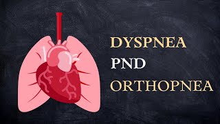 Dyspnea PND amp Orthopnea [upl. by Aicilf941]