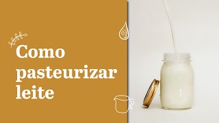 Como pasteurizar leite em casa  Queijo caseiro fácil para iniciantes [upl. by Scotney153]