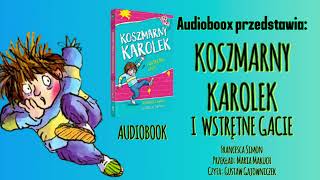 Koszmarny Karolek i Wstrętne Gacie  Audiobook [upl. by Dorkus]