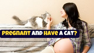 Pregnant And Have A Cat  Heres How To Keep Yourself Safe [upl. by Gide901]