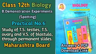 12th Biology Practical No6 Spotting Study of TS testies TS ovary and VS of  MH Board [upl. by Garlan]