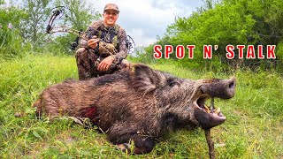 Big WILD BOAR Down Texas Turkey Turned HOG HUNT [upl. by Ybot429]