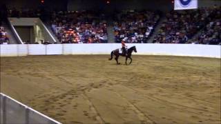 Amanda NonPro Freestyle Reining Quarter Horse Congress 2012 [upl. by Henka]