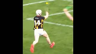 TIPPERARY V KILKENNY TG4 TRAILER  2024 ALL IRELAND MINOR HURLING FINAL [upl. by Aratahs921]