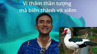 Vì thăm thần tượng mà biến thành vịt xiêm [upl. by Yekcor]