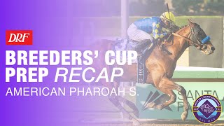 DRF Breeders Cup Prep Recap  American Pharoah Stakes [upl. by Eisserc772]