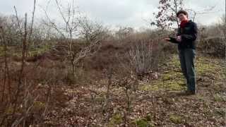 Het Drentse Landschap  Gasterse Duinen  Drenthe [upl. by Aknayirp962]