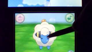 Pokemon Amie Mareep [upl. by Jami]