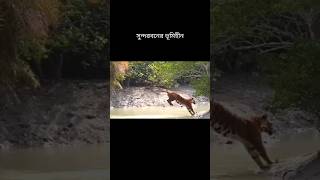 Landless Farmers Struggle In Sundarban [upl. by Deirdra732]